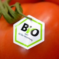 Deutsches Bio-Siegel auf einer Tomate: In Deutschland werden viele Produkte, die den EU-Normen entsprechen, mit dem sechseckigen Bio-Siegel versehen.