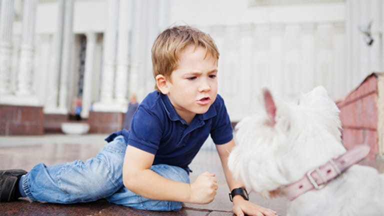 Manche Kinder lassen ihre Aggressionen an ihren Haustieren aus.