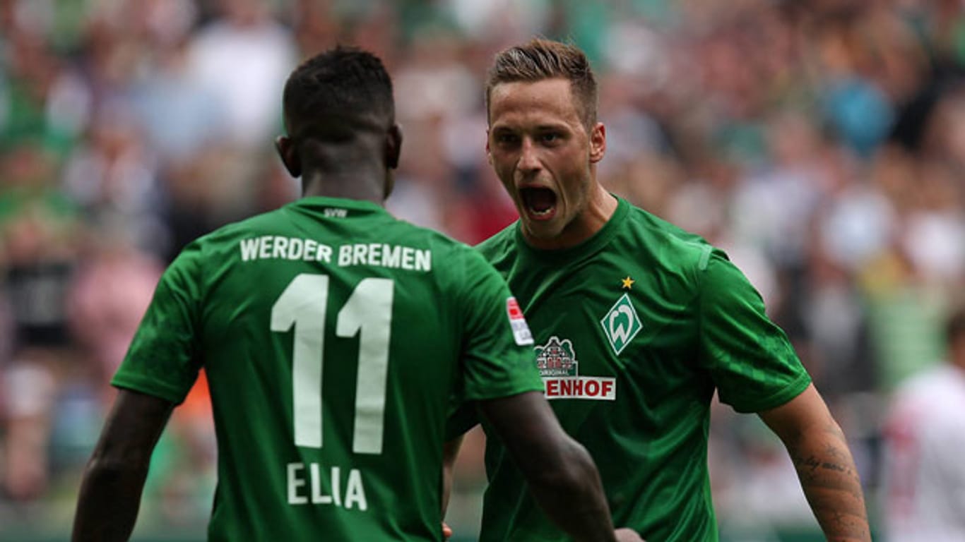 Werden diese Saison nicht mehr für Werder auf dem Platz jubeln: Eljero Elia und Marko Arnautovic.