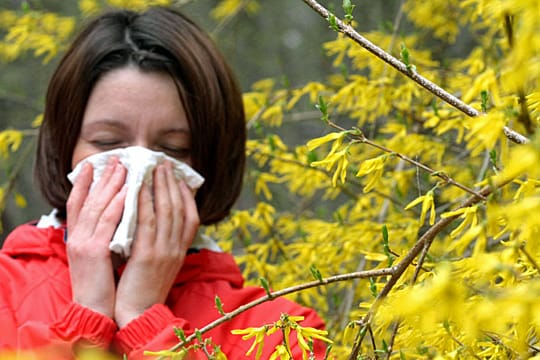 Zu den wichtigsten Heuschnupfen-Symptomen gehören brennende, juckende und tränende Augen, Schwellungen unterhalb der Augen sowie Juckreiz in Nase und Mund