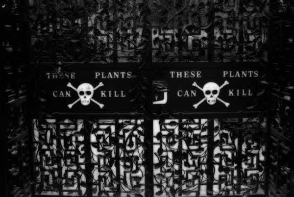 Die Besucher finden sich vor einem schwarzen Gitter wieder, auf dem ein Totenkopf mit folgender Inschrift abgebildet ist: "Diese Pflanzen können tödlich sein."