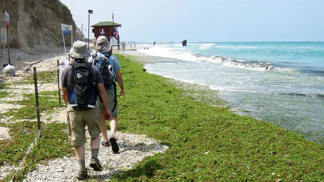 Wandern auf dem Israel National Trail.