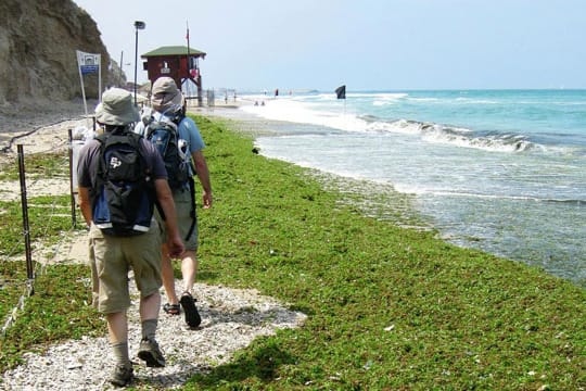 Wandern auf dem Israel National Trail.