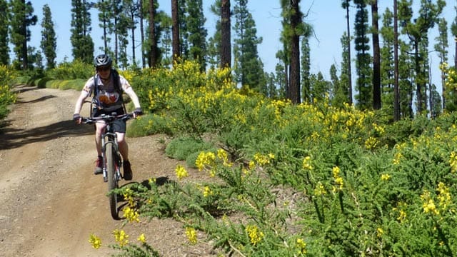 Radfahren auf Teneriffa.