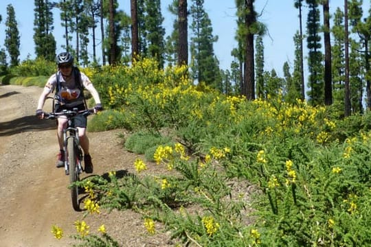 Radfahren auf Teneriffa.