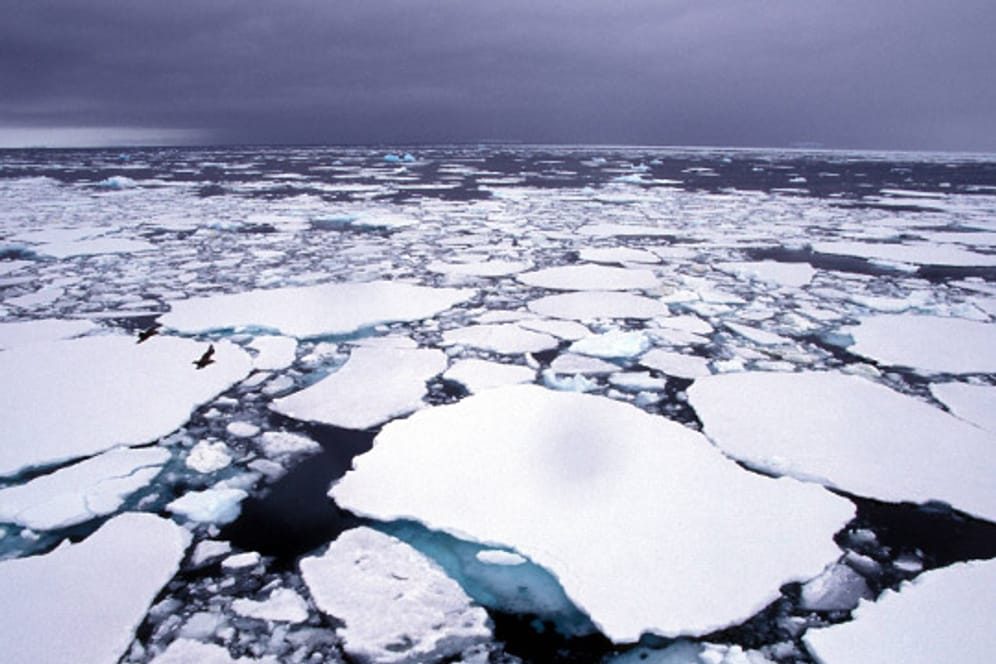 Eisschollen in der Arktis