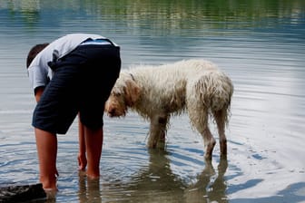 Urlaub mit Hund ist am Bodensee besonders schön