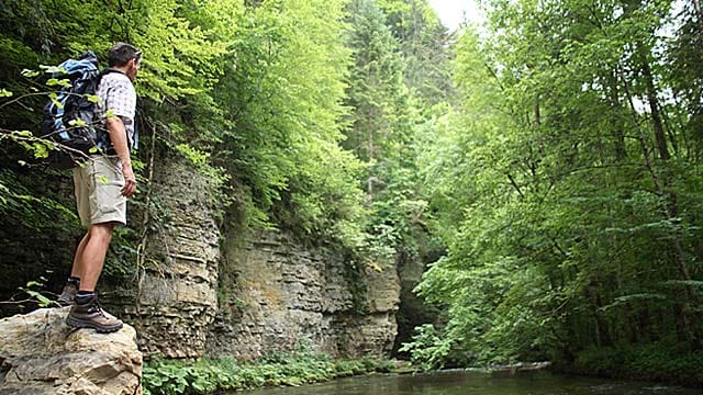 Schluchtensteig Schwarzwald: Wutachschlucht.