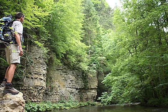 Schluchtensteig Schwarzwald: Wutachschlucht.