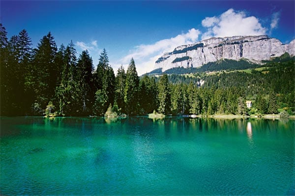 Zwischen Flims und Trin liegt der 320 Meter lange und 14 Meter tiefe Crestasee. Es handelt sich dabei um einen Quellsee, dessen Wasser unterirdisch gespiesen wird. Im Sommer bietet das Naturbad die perfekte Abkühlung!