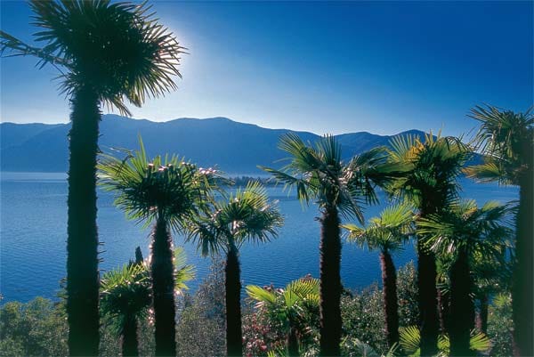 Der mediterran anmutende Lago Maggiore ist ein knapp über 210 Quadratkilometer großer See. 80 Prozent liegen auf italienischer Seite, die restlichen 20 Prozent gehören zur Schweiz.