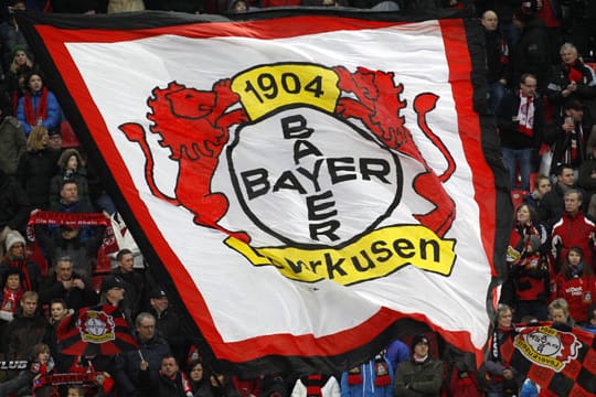 Bayer Leverkusen präsentiert in Niedzkowski einen neuen Co-Trainer.