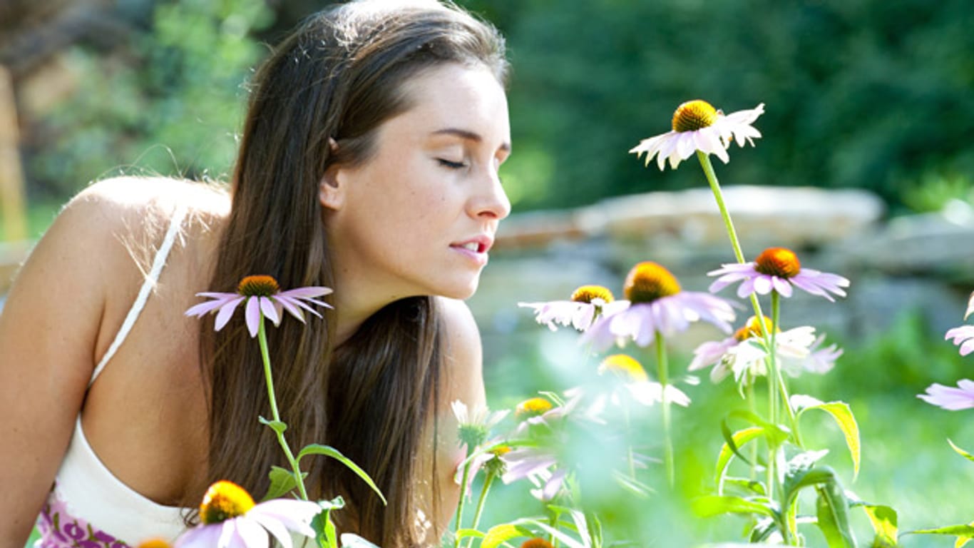 Gartenarbeit auch für Allergiker möglich. Tipps für beschwerdefreien Frühling und Sommer.