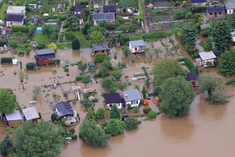 Hochwasser an der Mulde bei Dessau-Roßlau in Sachsen-Anhalt
