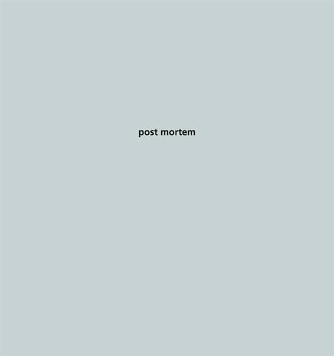 Cover des Buches "Post Mortem" von Patrik Budenz.