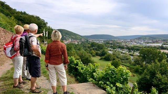 Fränkischer Rotwein-Wanderweg.