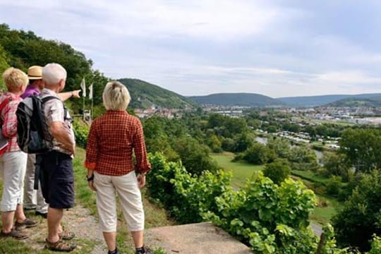 Fränkischer Rotwein-Wanderweg.