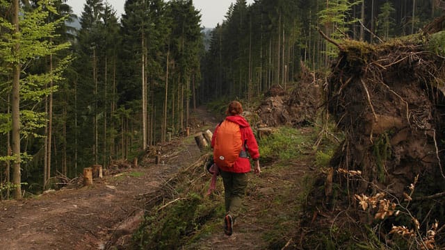 Wandern auf der Murgleiter, Etappe 4.