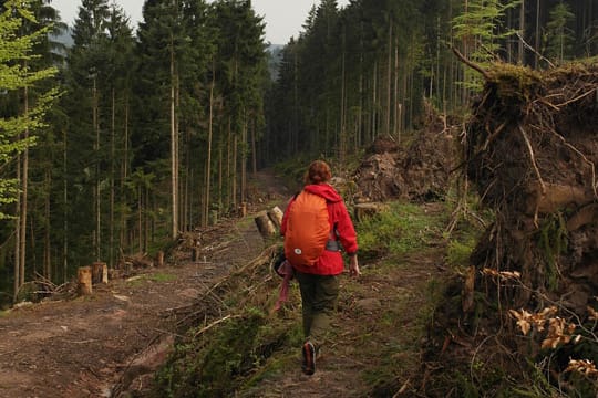 Wandern auf der Murgleiter, Etappe 4.