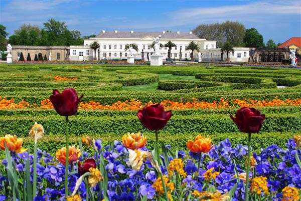 Der zu den Herrenhäuser Gärten in Hannover zählende Berggarten ist einer der ältesten botanischen Gärten Deutschlands.