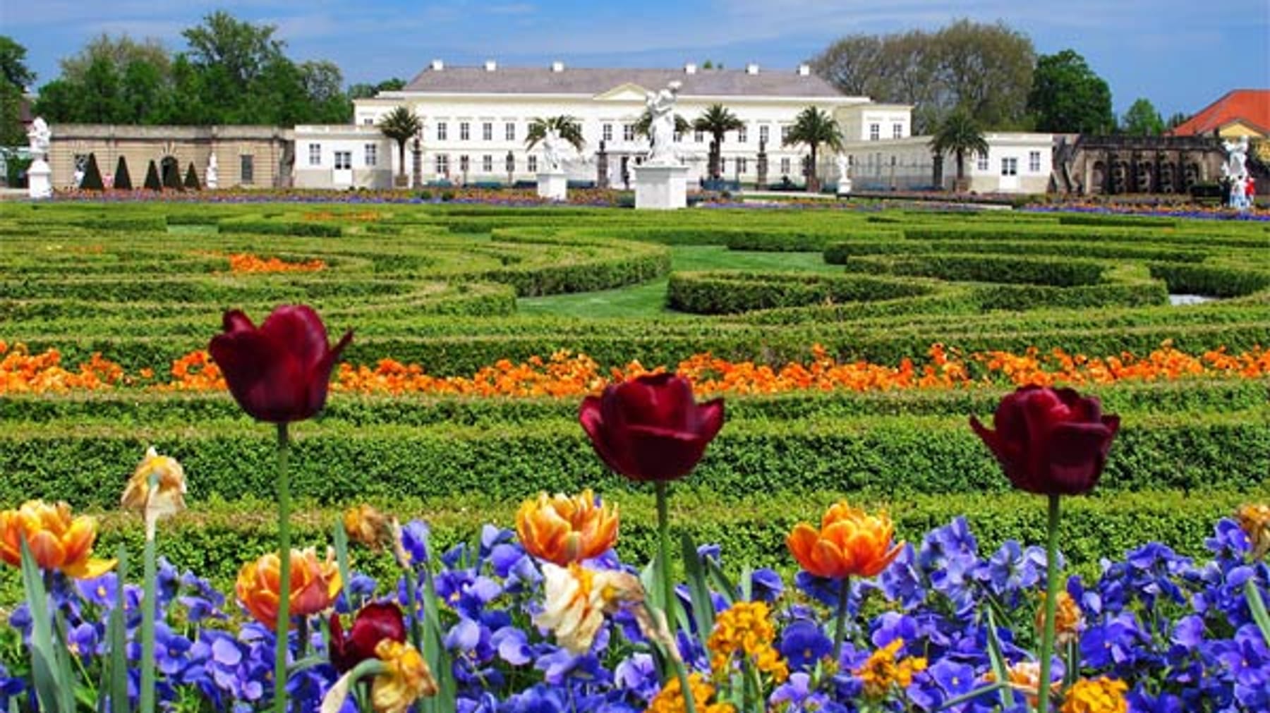 Die beliebtesten botanischen Gärten Deutschlands