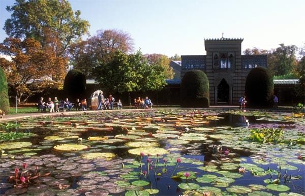 In einer Schlossanlage aus dem Jahr 1846 befindet sich die Wilhelma, ein zoologisch-botanischer Garten in Stuttgart.