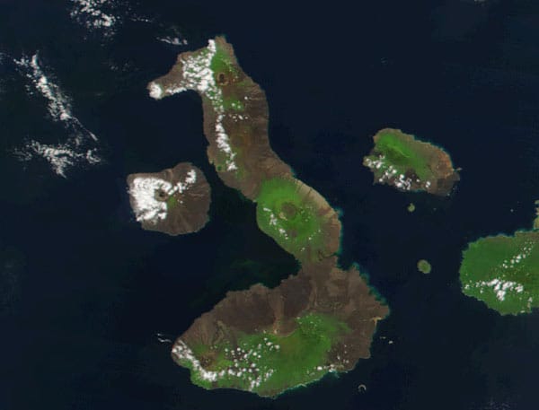Die Galapagos-Inseln sind für ihre Ursprünglichkeit und Tierreichtum bekannt. Da passt es auch, dass das größte Eiland aus der Luft betrachtet die Form eines Seepferchens hat. Isabela nennt sich die Inselschönheit, die mit einer Fläche von circa 4600 Quadratkilometern fast 60 Prozent der gesamten Galapagos-Landfläche einnimmt.