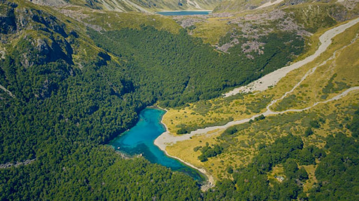 Der Blue Lake im neuseeländischen Nelson Lakes National Park gilt als klarster See der Welt.