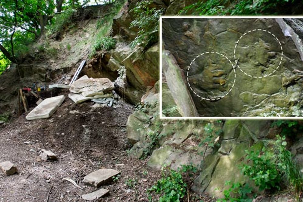 Diese Fußstapfen bei Bochum sind über 300 Millionen Jahre alt