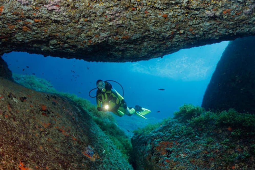 Duch das Loch: Spektakuläre Unterwasserwelt vor der Dragonera-Insel.