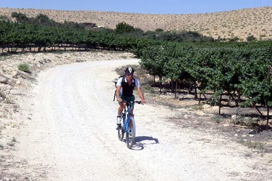 Radtouren in Israel.