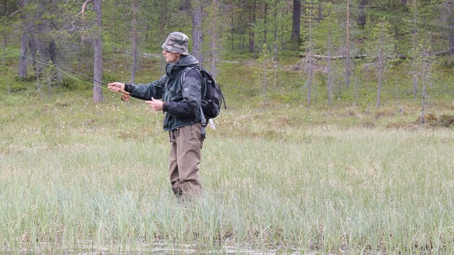 Fliegenfischen in Lappland.