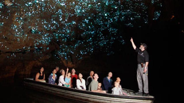 Wie eine Fahrt in eine andere Galaxy. Doch in den Waitomo Caves bestehen dir Sterne aus Pilzmückenlarven.