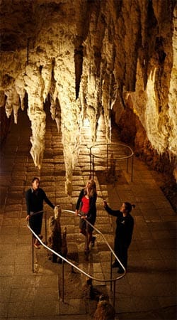 Zu den Waitomo Caves gehört jedoch nicht nur die Höhle mit ihren leuchtenden Bewohnern. Ganz in der Nähe liegt beispielsweise die Aranui Höhle.
