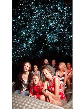 Doch die Leuchtpunkte sind keine Sterne, es sind unzählige Insekten, die Licht ins Dunkel bringen und so faszinieren. Aus diesem Grund wird die Waitomo Höhle, im Zentrum der Nordinsel Neuseelands gelegen, auch als Glowworm-Caves (auf deutsch: Glühwürmchenhöhle) bezeichnet.