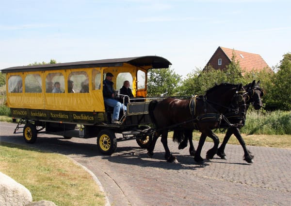 Nur mit zwei PS: Langeoog ist komplett autofrei. Pferdekutschen sind ein beliebtes Fortbewegungsmittel.
