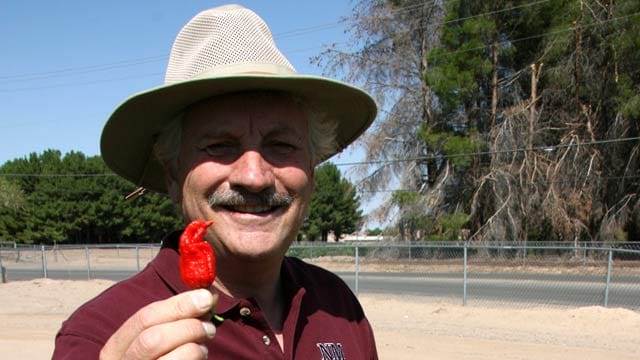 Der Chili-Prof: er forscht nach der schärfsten Chili der Welt.