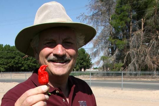 Der Chili-Prof: er forscht nach der schärfsten Chili der Welt.