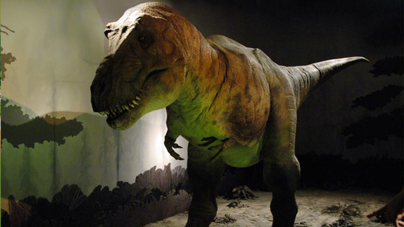 Einer der bekanntesten Dinosaurier war schnell und kräftig und setzte seine gewaltigen Zähne auch im Kampf ein