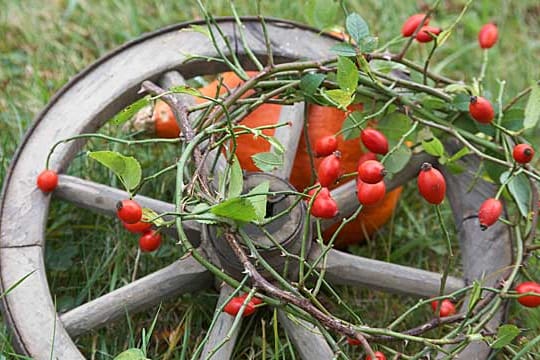 Herbstdeko aus der Natur.