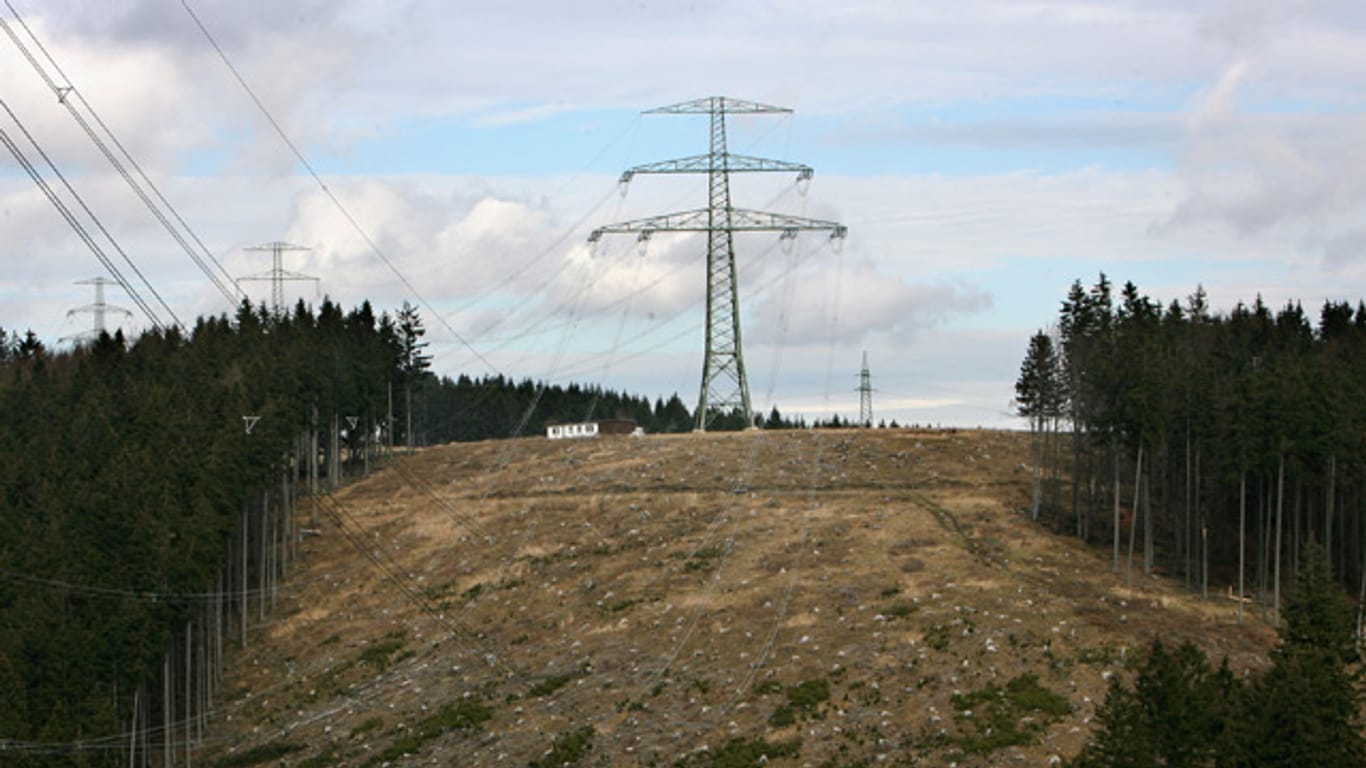 Klagen gegen Stromtrasse durch Thüringer Wald abgewiesen