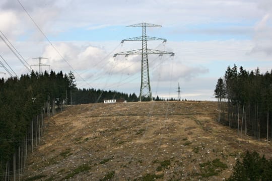 Klagen gegen Stromtrasse durch Thüringer Wald abgewiesen