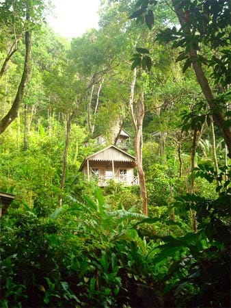 Ob der Garten Eden auch so schön ist wie das "Jungle Bay Resort & Spa" in Dominica?