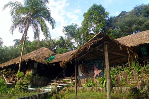 Natur pur, exotische Tiere hautnah und ein überaus herzlicher Empfang: die "Amazon Village Lodge" in Brasilien.