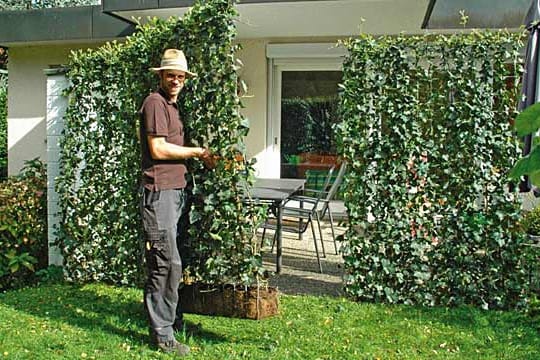 Die Fertig-Hecke als Meterware: blickdichter Sichtschutz in nur einem Tag.