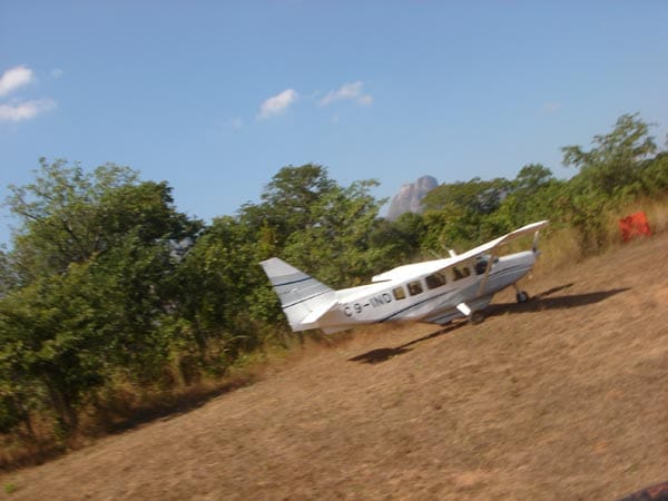 Kurz nach der Landung die Warnung des Piloten: Direkt neben dem Flugzeug könnte sich ein Löwe unbemerkt anschleichen, verdeckt im hohen Gras.