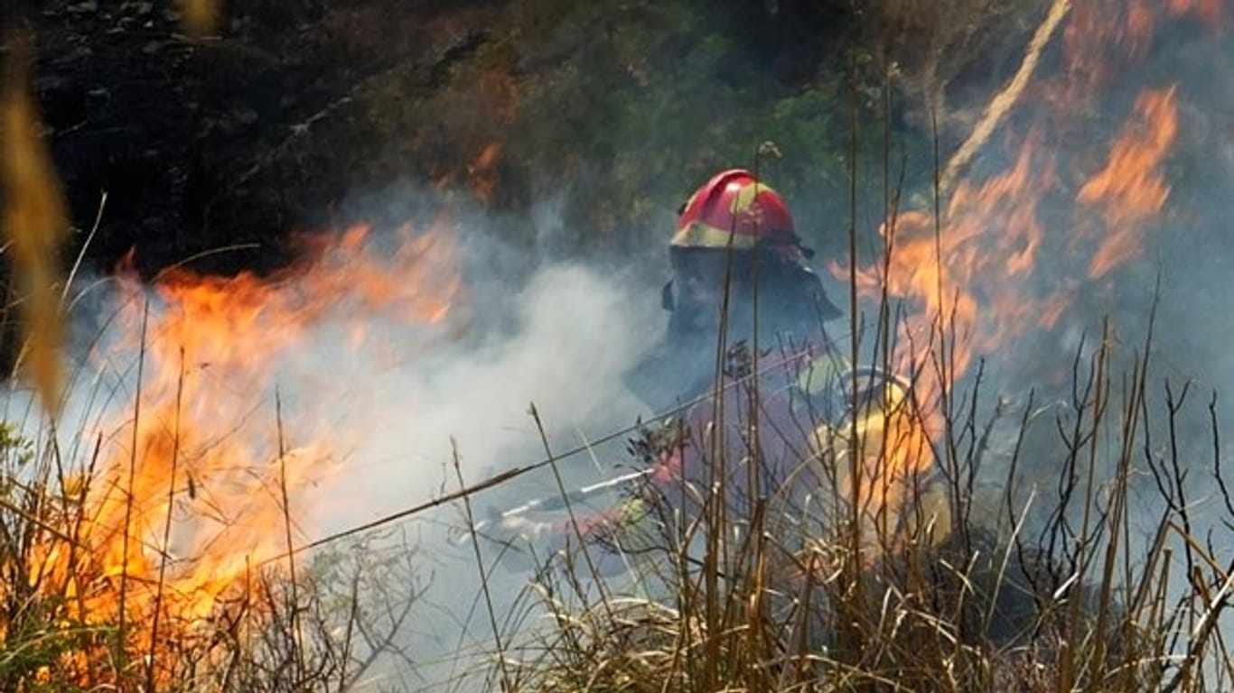 Auf Mallorca kämpft die Feuerwehr verbissen gegen die Flammen