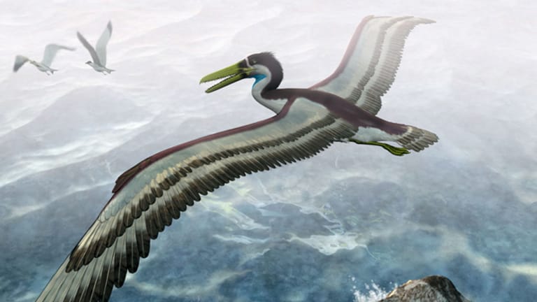 Künstlerische Reproduktion eines Archaeopteryx