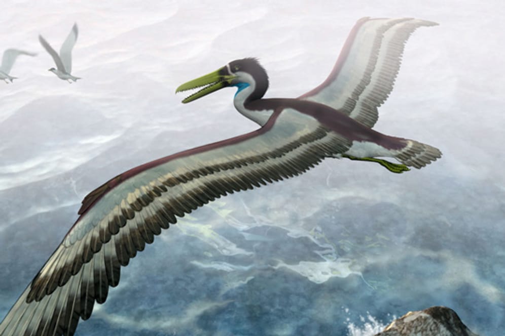 Künstlerische Reproduktion eines Archaeopteryx