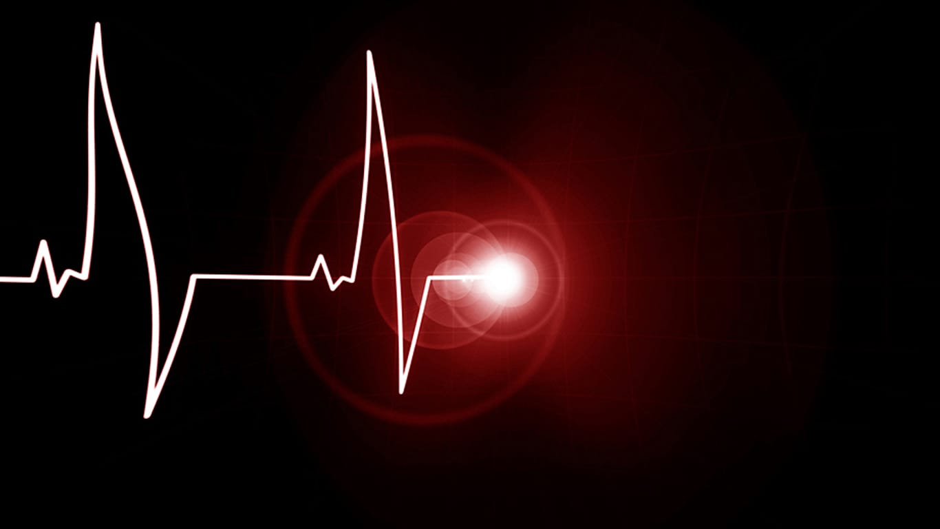 Was passiert in den Sekunden nach dem Herztod? Forscher fasziniert diese Frage schon lange